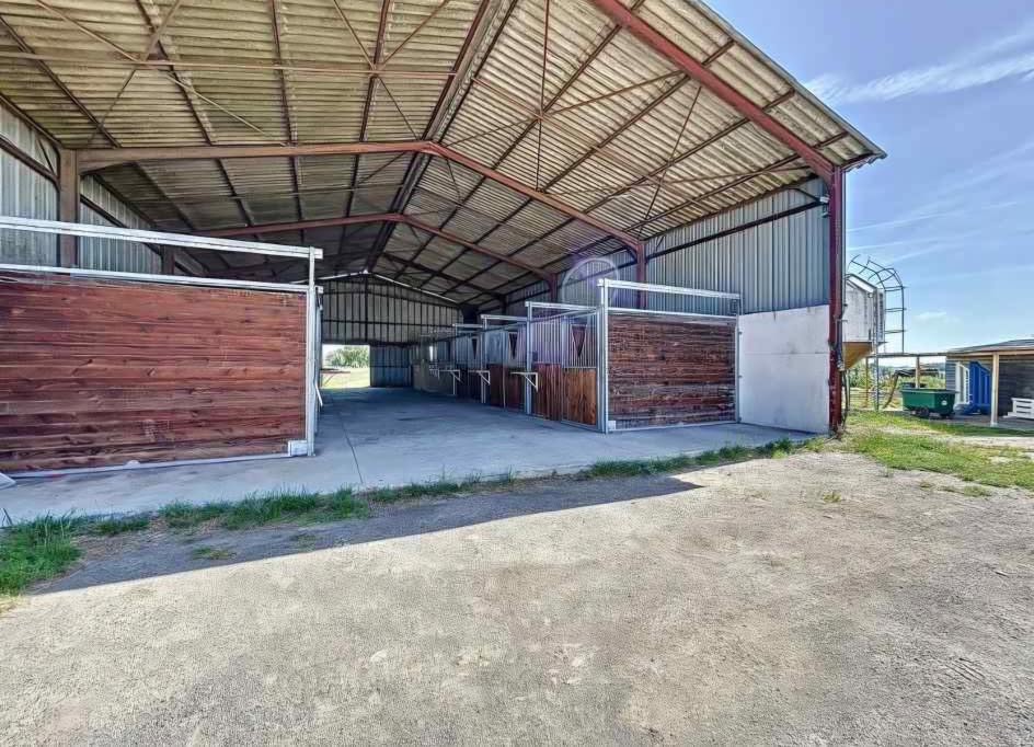 Ecurie Les Terres Roses : box et paddocks, pension pour chevaux à Léguevin - Photo 1 sur 4