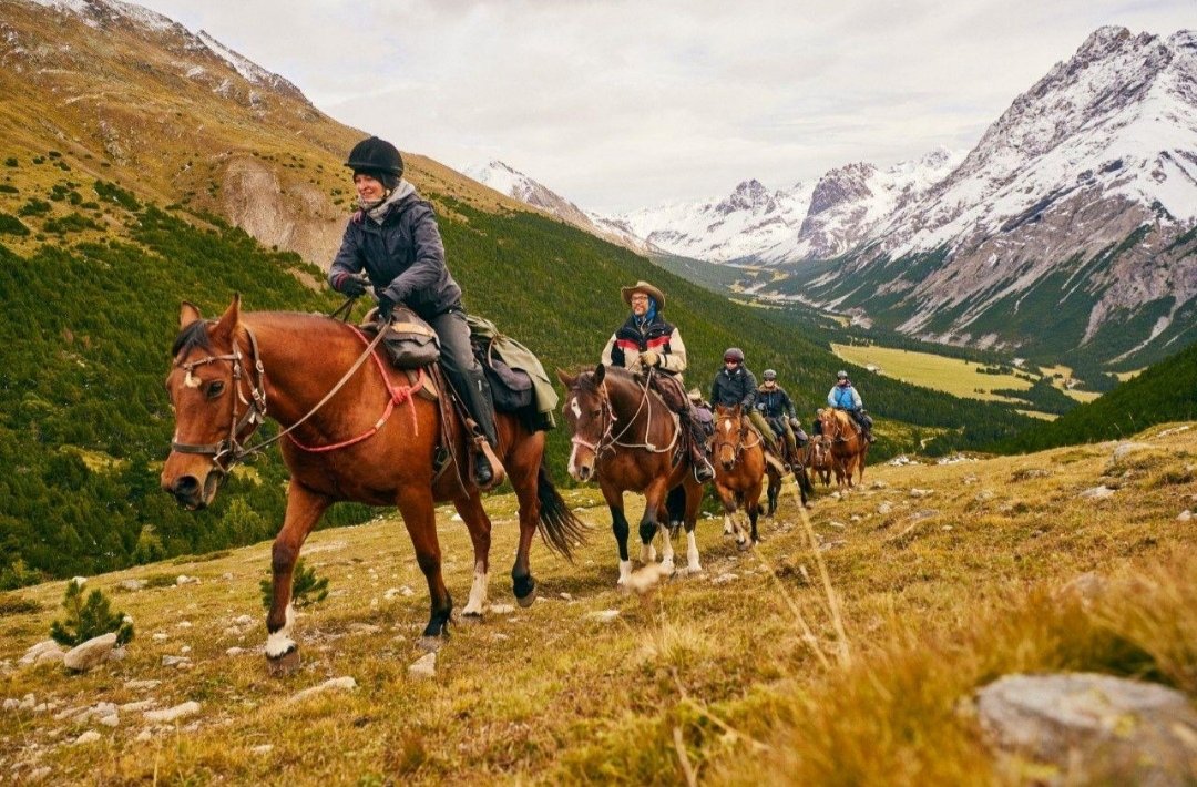Fokus Mensch Pferd – Iris Hauschild : box et paddocks, pension pour chevaux à Sta. Maria Val Müstair - Photo 3 sur 3