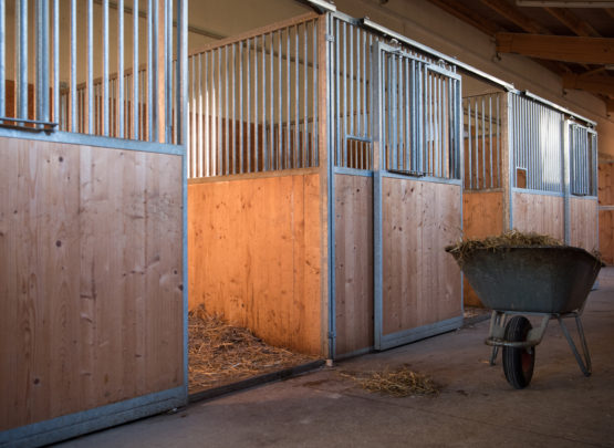 Equetec SA : box et paddocks, pension pour chevaux à Montfaucon - Photo 6 sur 7