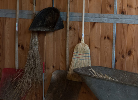 Equetec SA : box et paddocks, pension pour chevaux à Montfaucon - Photo 3 sur 7