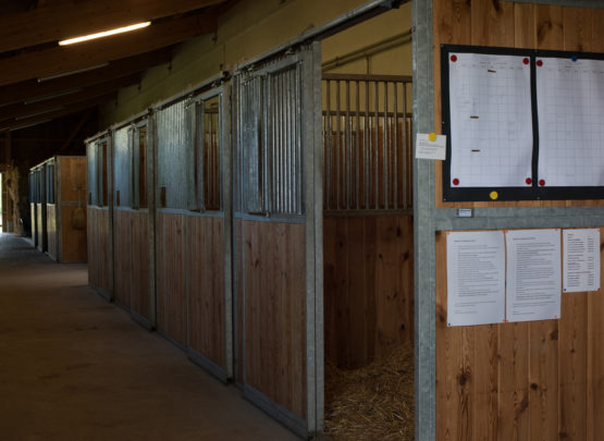 Equetec SA : box et paddocks, pension pour chevaux à Montfaucon - Photo 4 sur 7