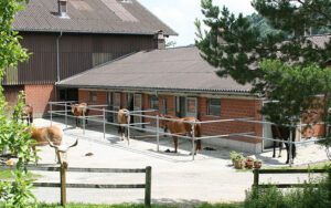 Pferdezentrum Flawil / Sun Hill Ranch : box et paddocks, pension pour chevaux à Flawil - Photo 4 sur 4