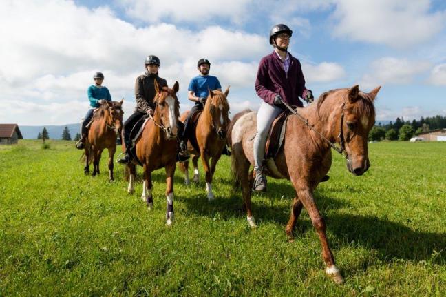 Scheidegger-Ranch : box et paddocks, pension pour chevaux à Tramelan - Photo 5 sur 5