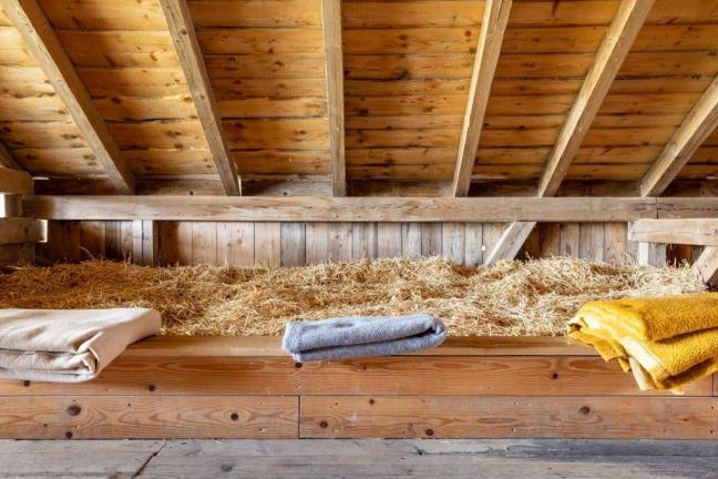 Scheidegger-Ranch : box et paddocks, pension pour chevaux à Tramelan - Photo 3 sur 5