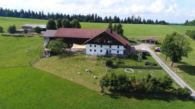 Scheidegger-Ranch : box et paddocks, pension pour chevaux à Tramelan - Photo 4 sur 5