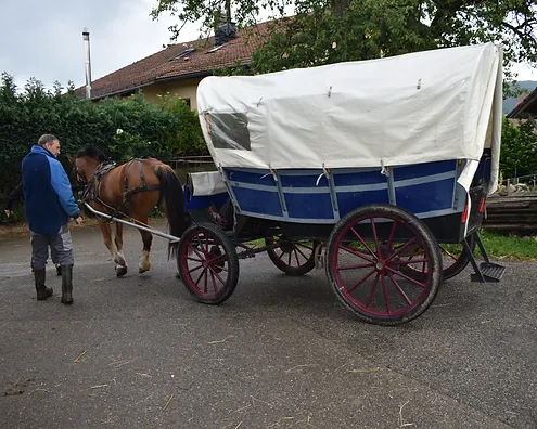 Découverte à la ferme : box et paddocks, pension pour chevaux à Lugnez - Photo 3 sur 3