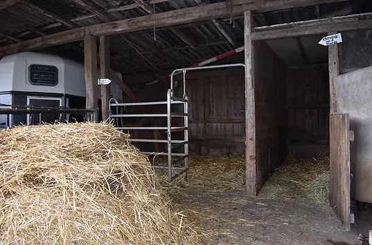 Découverte à la ferme : box et paddocks, pension pour chevaux à Lugnez - Photo 1 sur 3