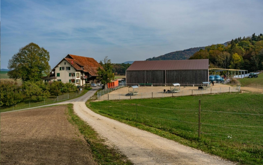 Wetzenhof : box et paddocks, pension pour chevaux à Schleitheim SH - Photo 3 sur 3
