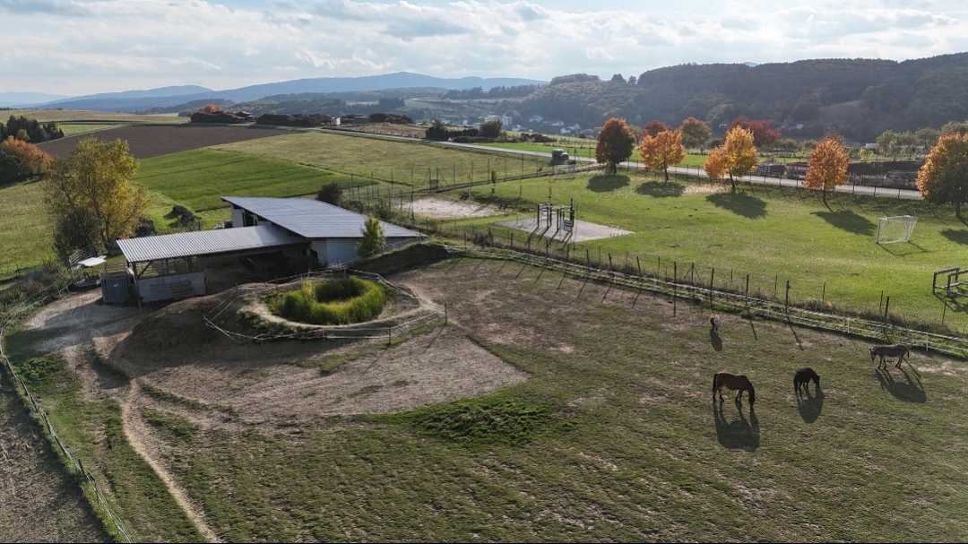 Siegis Reiterhof : box et paddocks, pension pour chevaux à Liebenau - Photo 4 sur 4