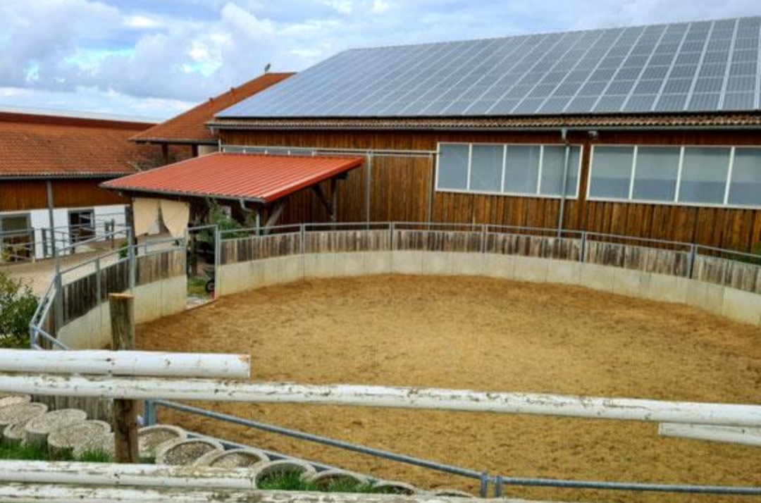 Big-Sky-Ranch : box et paddocks, pension pour chevaux à Spiegl - Photo 2 sur 3