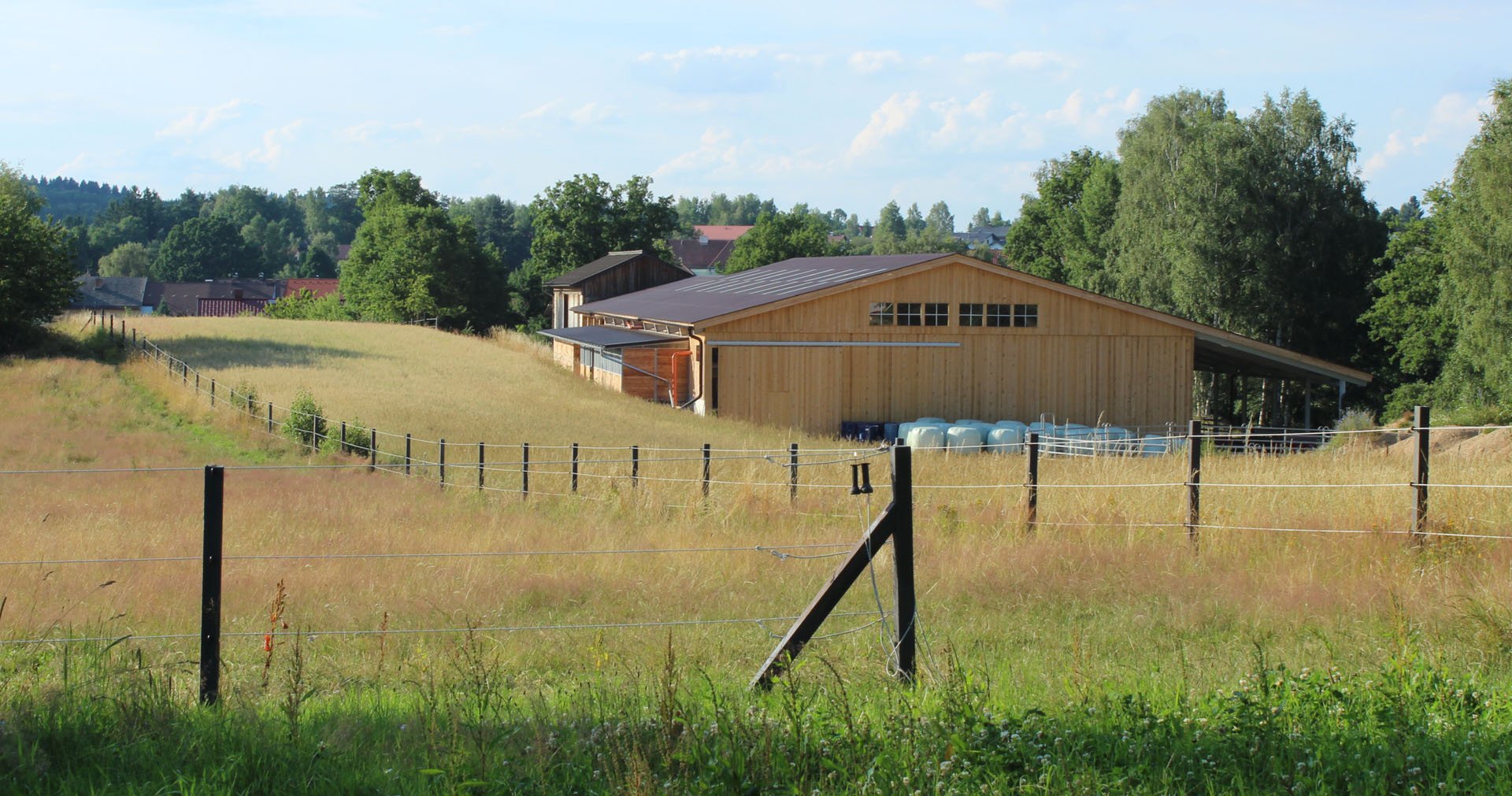 Nordwaldhof Litschau / Wanderreithof Litschau : box et paddocks, pension pour chevaux à Litschau - Photo 8 sur 8