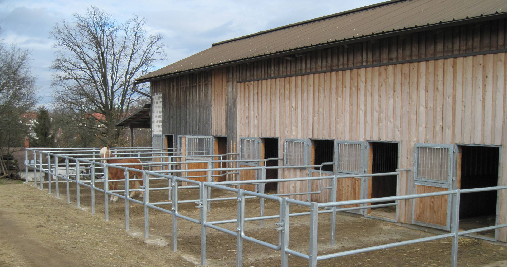 Nordwaldhof Litschau / Wanderreithof Litschau : box et paddocks, pension pour chevaux à Litschau - Photo 3 sur 8