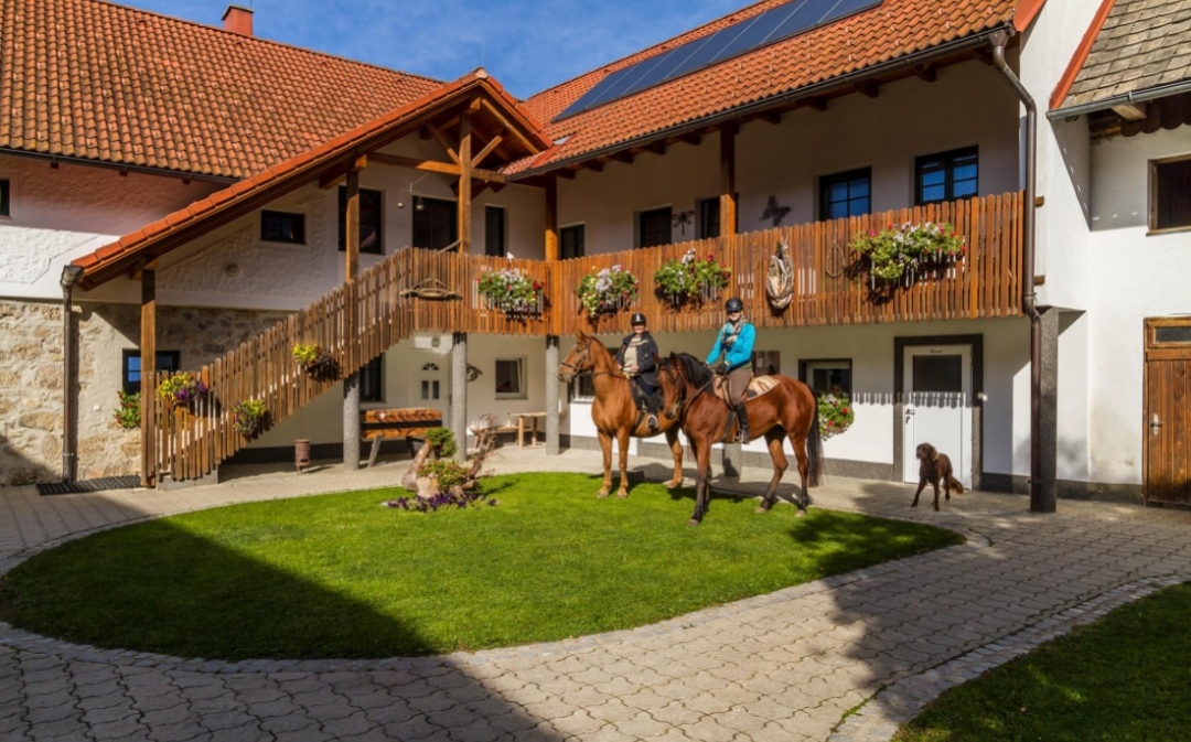 Wanderreithof Heimelsteiner : box et paddocks, pension pour chevaux à Pabneukirchen - Photo 4 sur 4
