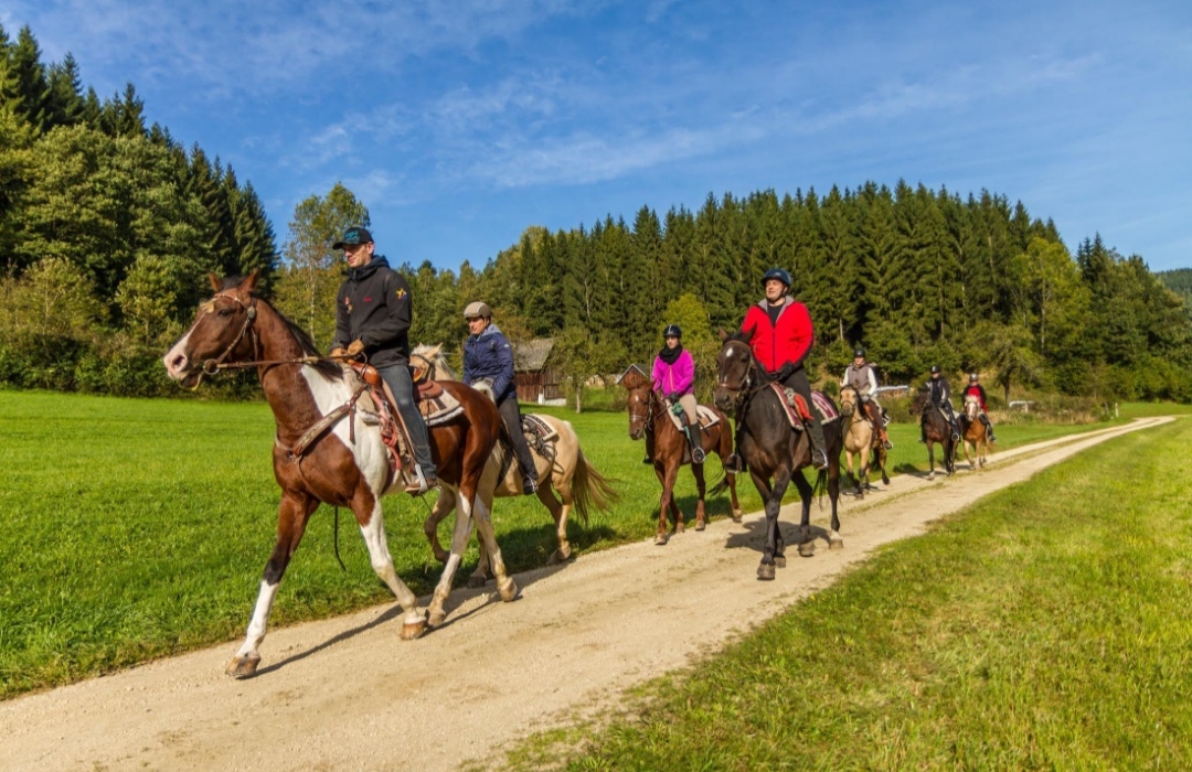 Wanderreithof Heimelsteiner : box et paddocks, pension pour chevaux à Pabneukirchen - Photo 2 sur 4