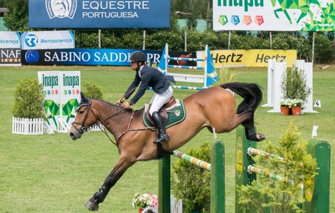 Sociedade Hípica Portuguesa : box et paddocks, pension pour chevaux à Lisboa - Photo 3 sur 4
