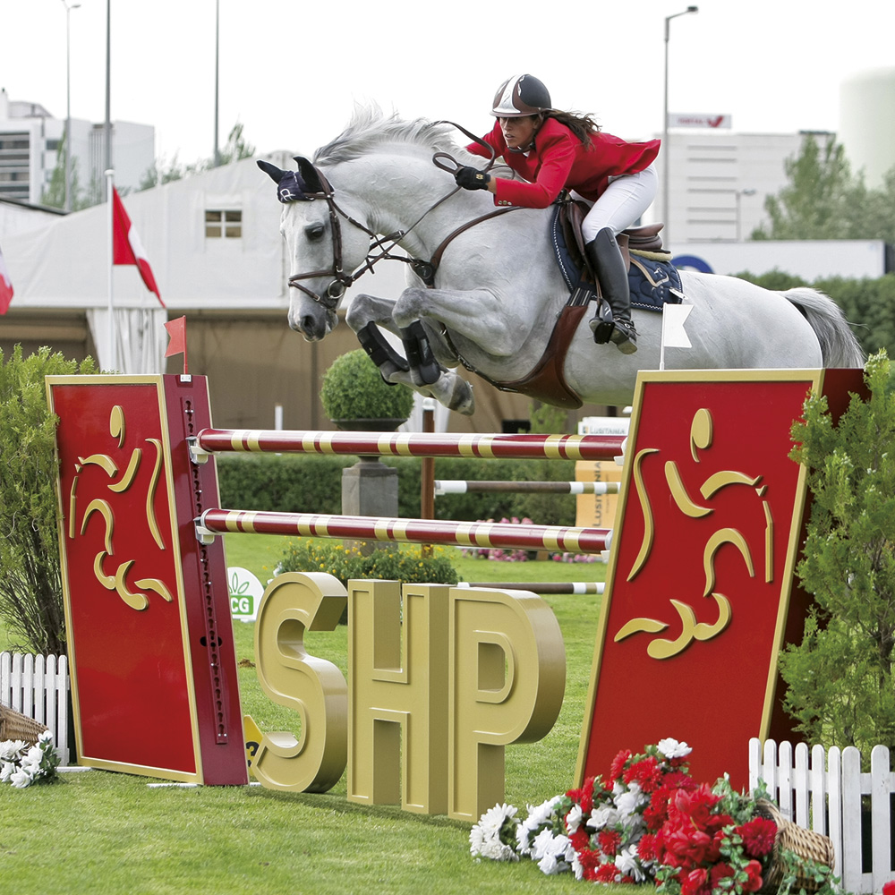 Sociedade Hípica Portuguesa : box et paddocks, pension pour chevaux à Lisboa - Photo 4 sur 4