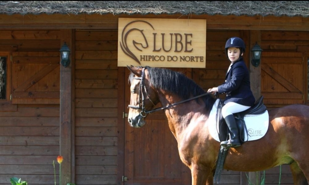 Clube Hípico do Norte (CHN) : box et paddocks, pension pour chevaux à Gandra – Esposende - Photo 4 sur 4