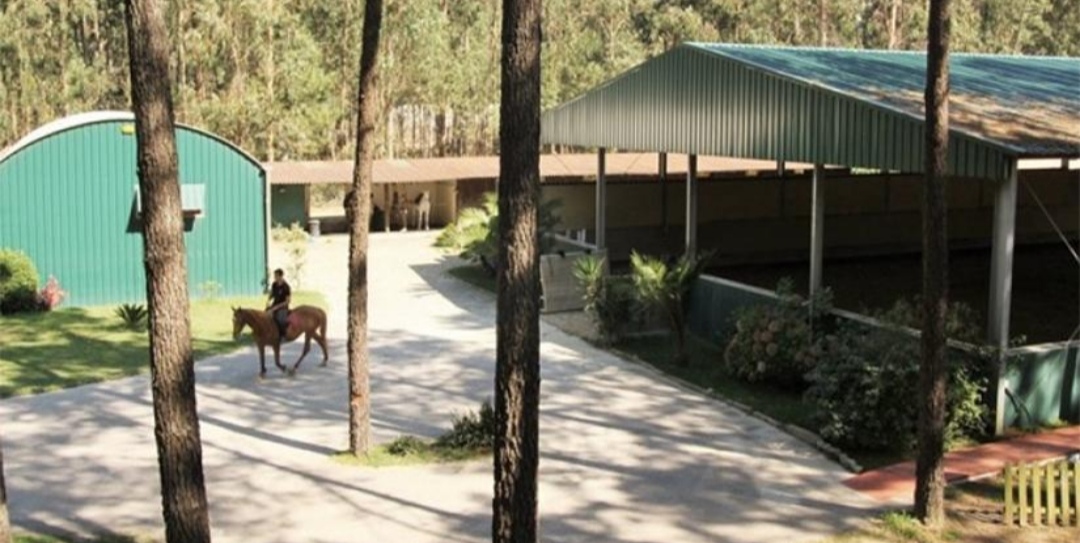 Clube Hípico do Norte (CHN) : box et paddocks, pension pour chevaux à Gandra – Esposende - Photo 3 sur 4