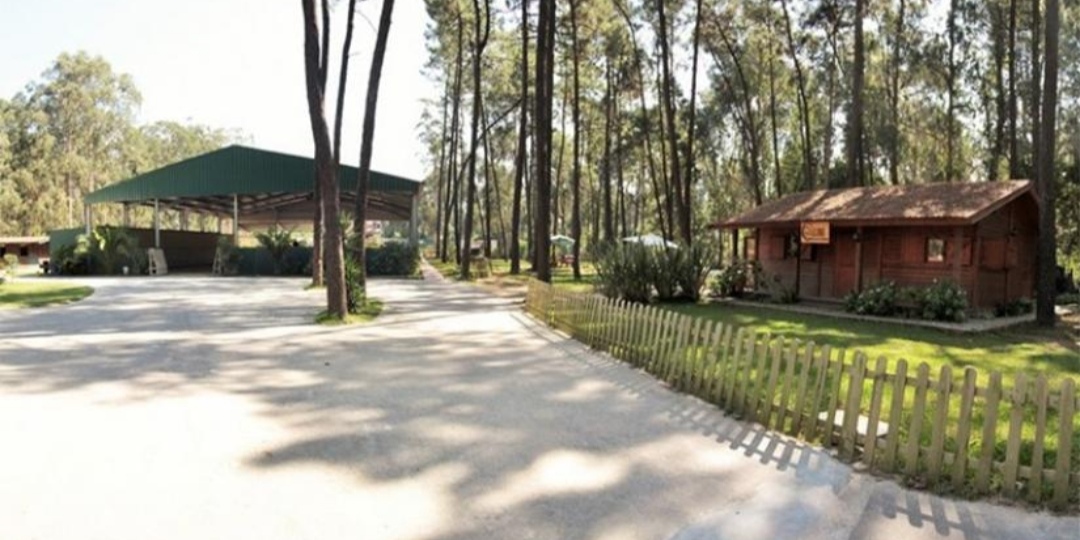 Clube Hípico do Norte (CHN) : box et paddocks, pension pour chevaux à Gandra – Esposende - Photo 2 sur 4