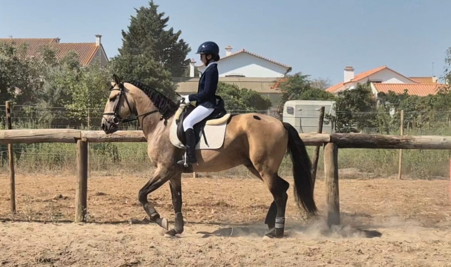 Quinta Da Andorinha : box et paddocks, pension pour chevaux à Samora Correia (Porto Alto) - Photo 2 sur 5