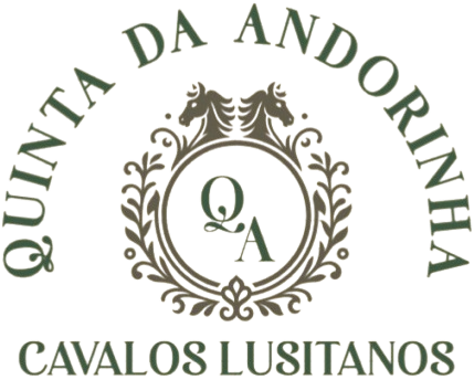 Quinta Da Andorinha : box et paddocks, pension pour chevaux à Samora Correia (Porto Alto) - Photo 1 sur 5