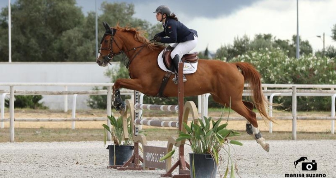 Hippos Golegã – Centro de Alto Rendimento de Desportos Equestres : box et paddocks, pension pour chevaux à Golegã - Photo 1 sur 3