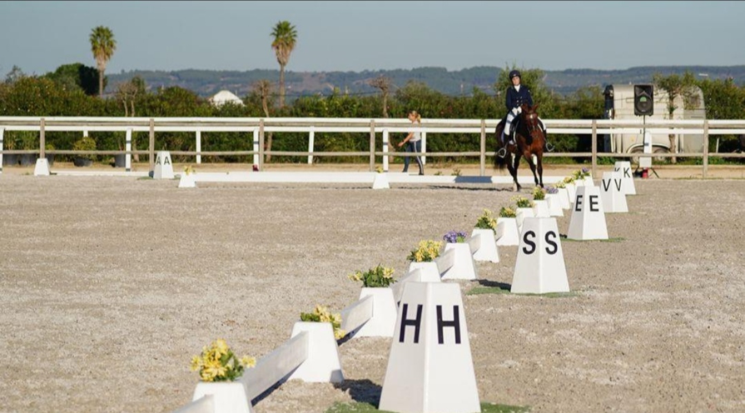 Hippos Golegã – Centro de Alto Rendimento de Desportos Equestres : box et paddocks, pension pour chevaux à Golegã - Photo 2 sur 3