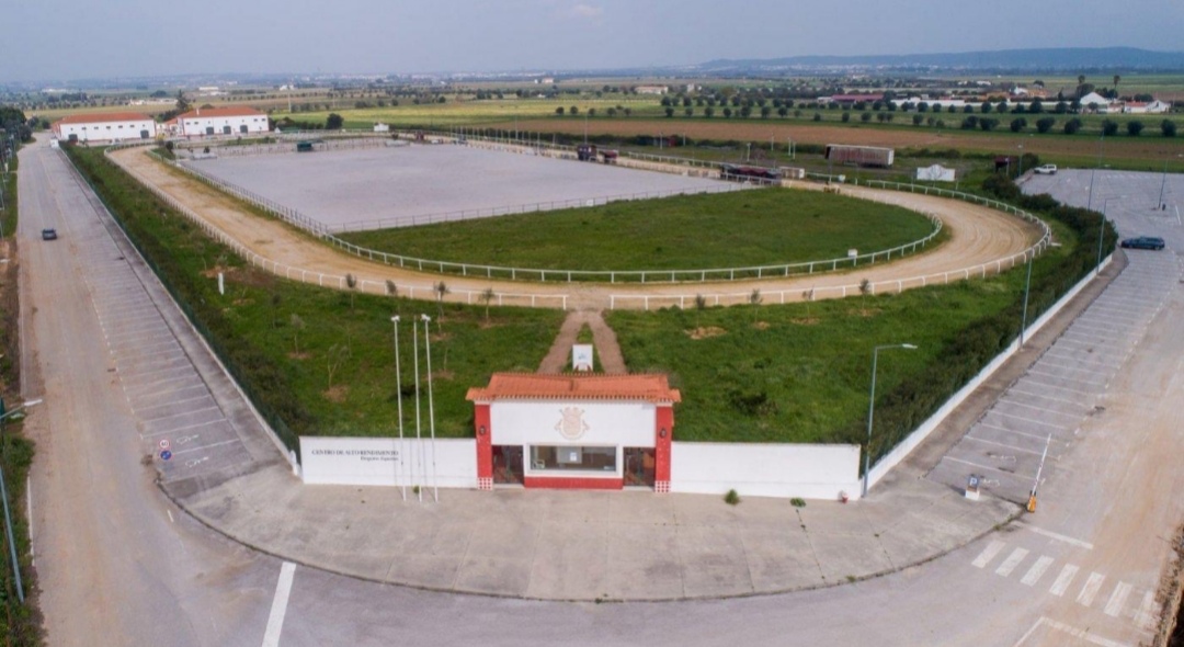 Hippos Golegã – Centro de Alto Rendimento de Desportos Equestres : box et paddocks, pension pour chevaux à Golegã - Photo 3 sur 3
