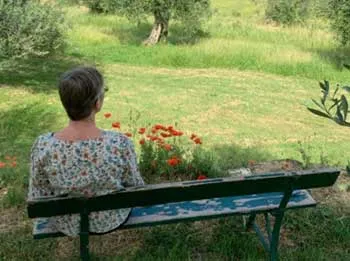 Agriturismo Podere Spedalone : box et paddocks, pension pour chevaux à Pienza (SI) - Photo 5 sur 7