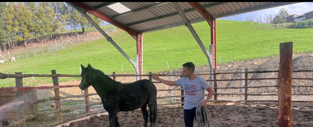 Agriturismo Ca’ di Voi : box et paddocks, pension pour chevaux à Calizzano (SV) - Photo 3 sur 5