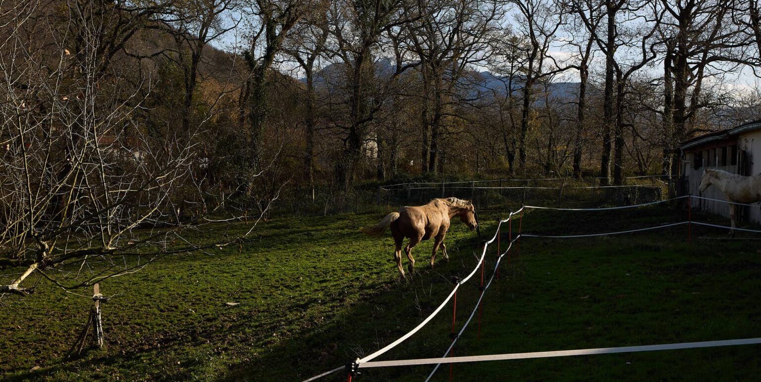 Ametsemea Hipika : box et paddocks, pension pour chevaux à Oiartzun - Photo 3 sur 4