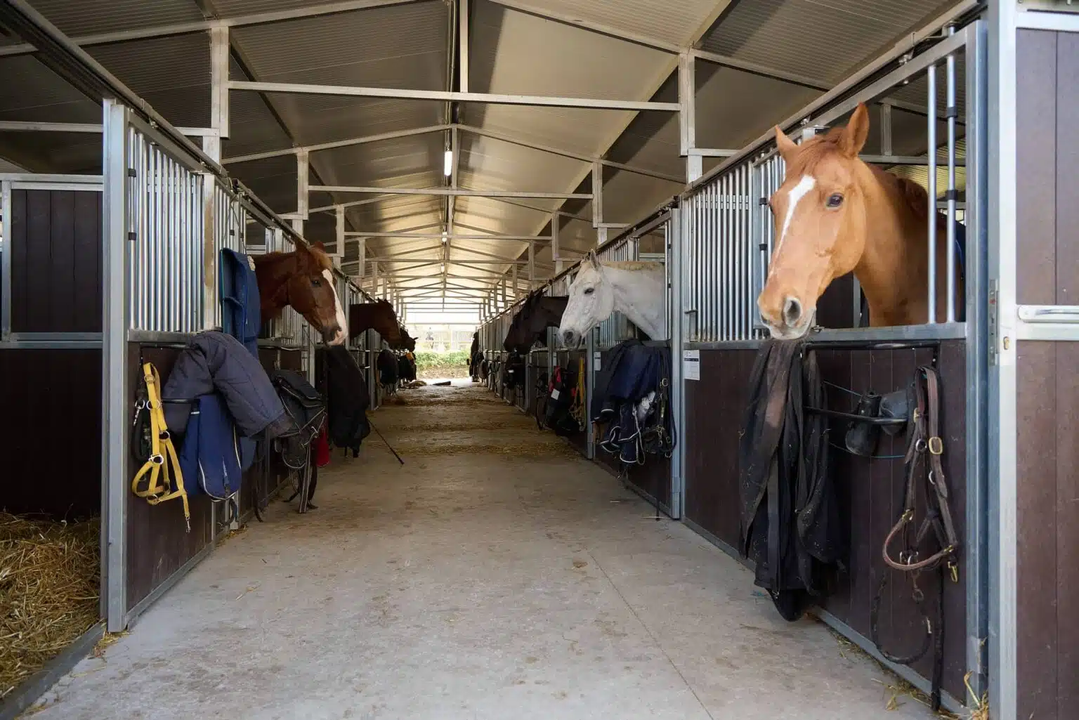 Ametsemea Hipika : box et paddocks, pension pour chevaux à Oiartzun - Photo 4 sur 4