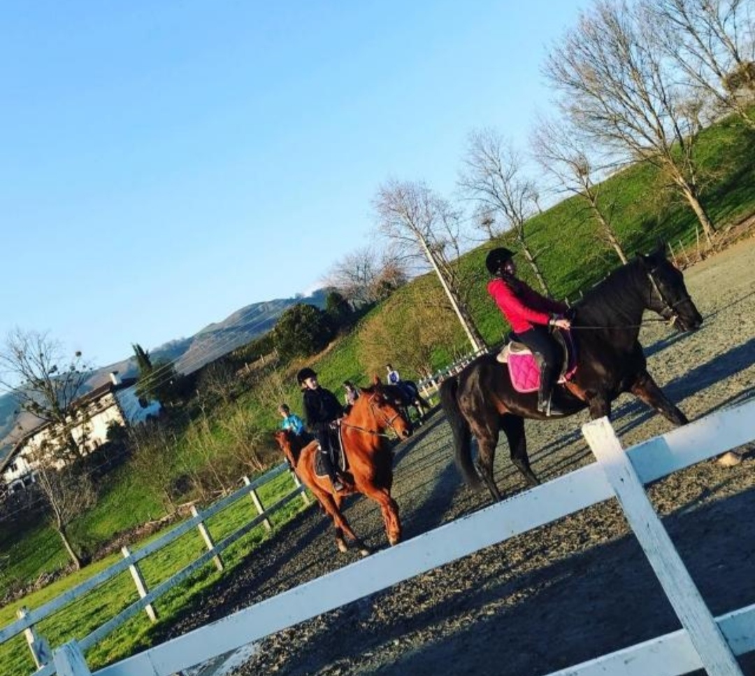 Club Hípico Tradición Caballar : box et paddocks, pension pour chevaux - Photo 1 sur 3