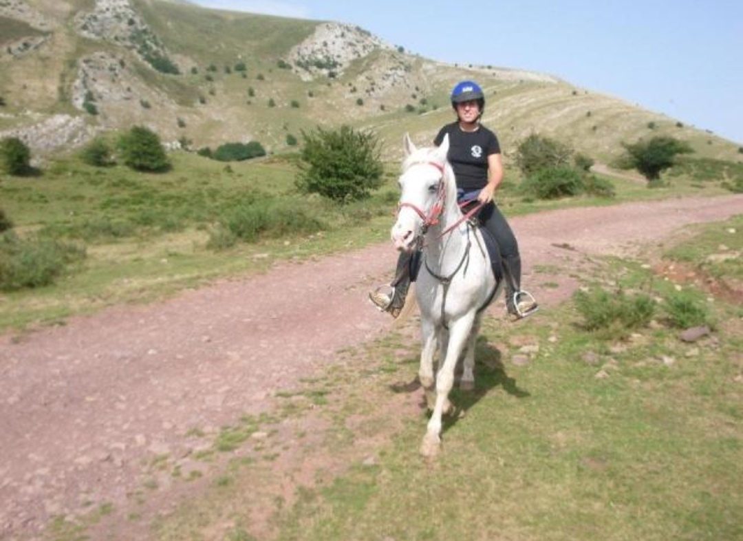 Club Hípico Tradición Caballar : box et paddocks, pension pour chevaux - Photo 2 sur 3