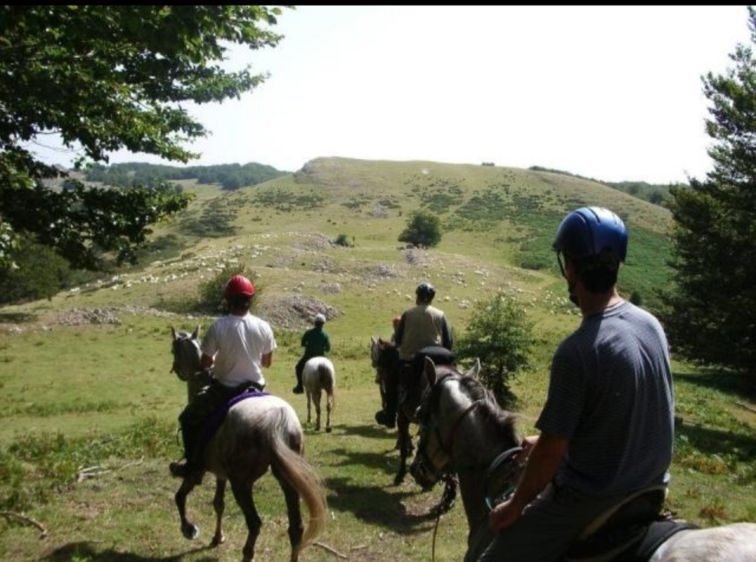 Club Hípico Tradición Caballar : box et paddocks, pension pour chevaux - Photo 3 sur 3