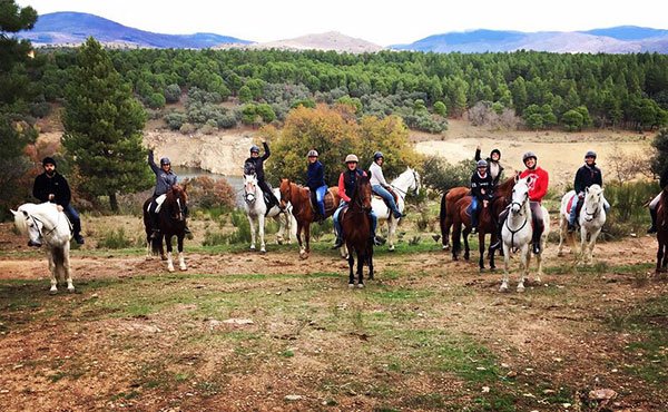 Centro Hípico Buitrago : box et paddocks, pension pour chevaux à Buitrago del Lozoya - Photo 5 sur 5