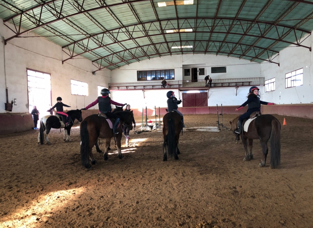 Centro Ecuestre de Salamanca : box et paddocks, pension pour chevaux à Salamanca - Photo 3 sur 4