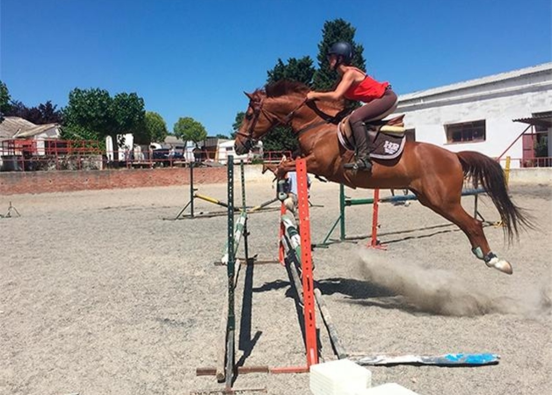 Centro Ecuestre de Salamanca : box et paddocks, pension pour chevaux à Salamanca - Photo 2 sur 4