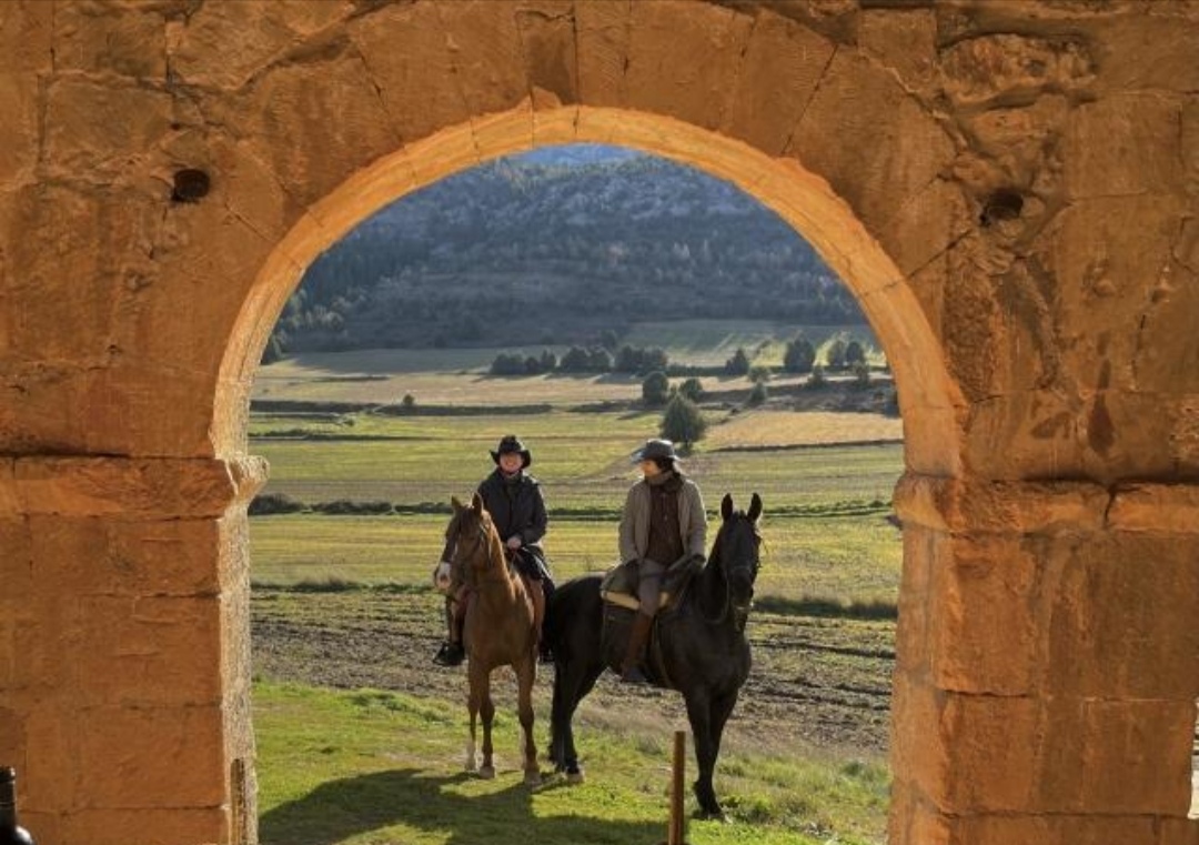 PROATUR – Boxes Camino de Santiago : box et paddocks, pension pour chevaux à Valladolid - Photo 1 sur 4