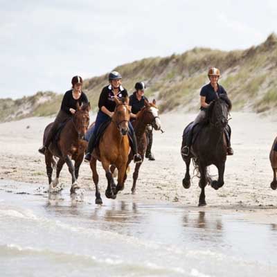 Camping Hofstede Molenzicht : box et paddocks, pension pour chevaux à Vrouwenpolder - Photo 2 sur 5