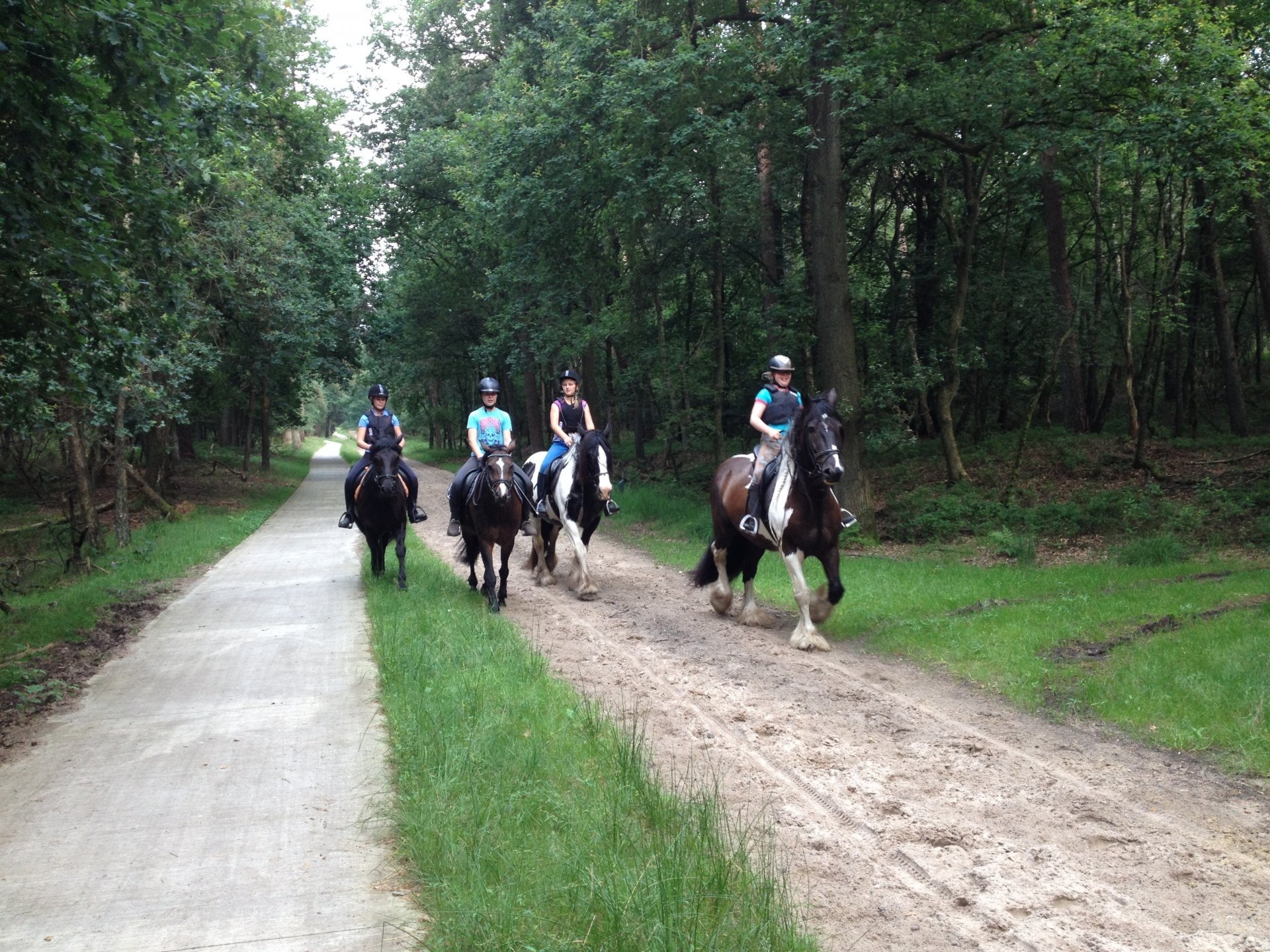 Buitensportcentrum De Spreng : box et paddocks, pension pour chevaux à Laag-Soeren - Photo 4 sur 5