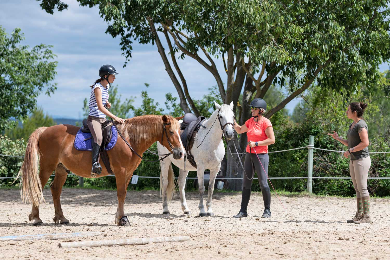 Buitensportcentrum De Spreng : box et paddocks, pension pour chevaux à Laag-Soeren - Photo 2 sur 5