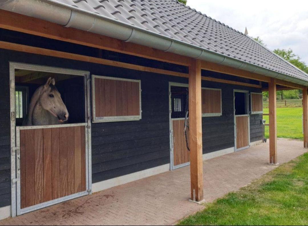 Bed & Breakfast ’t Heidepaleis : box et paddocks, pension pour chevaux à Garderen - Photo 2 sur 4