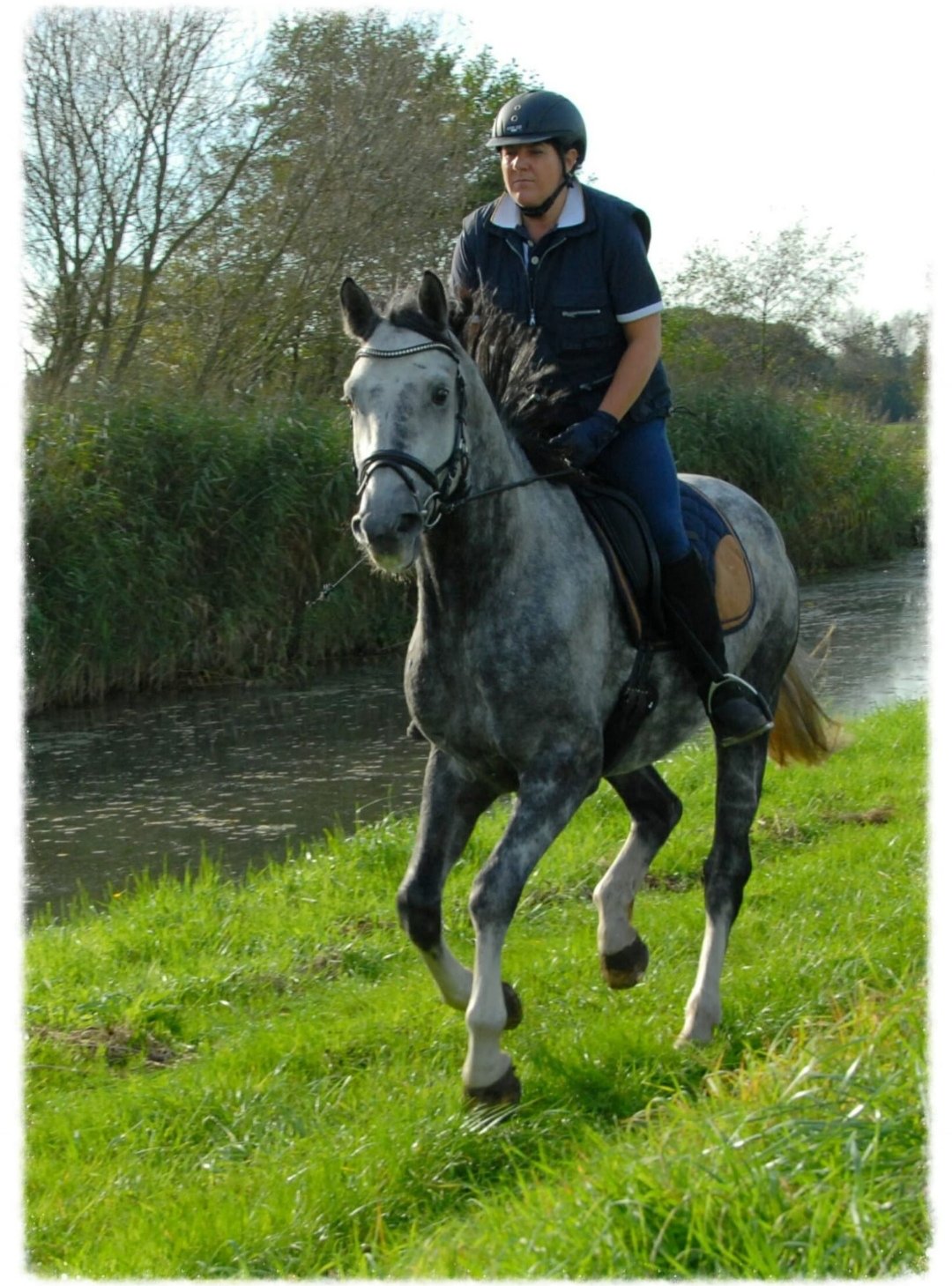 Recreatiepark Den Möllenhof : box et paddocks, pension pour chevaux à Ratumsestraat 21.11 - Photo 2 sur 5