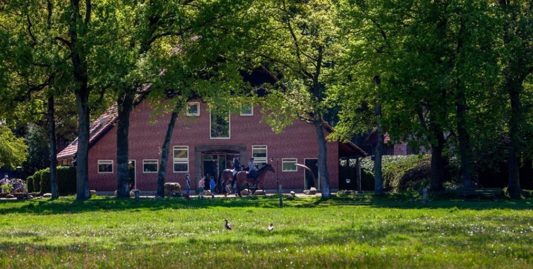 Hoeve Springendal : box et paddocks, pension pour chevaux à Hezingen - Photo 3 sur 3