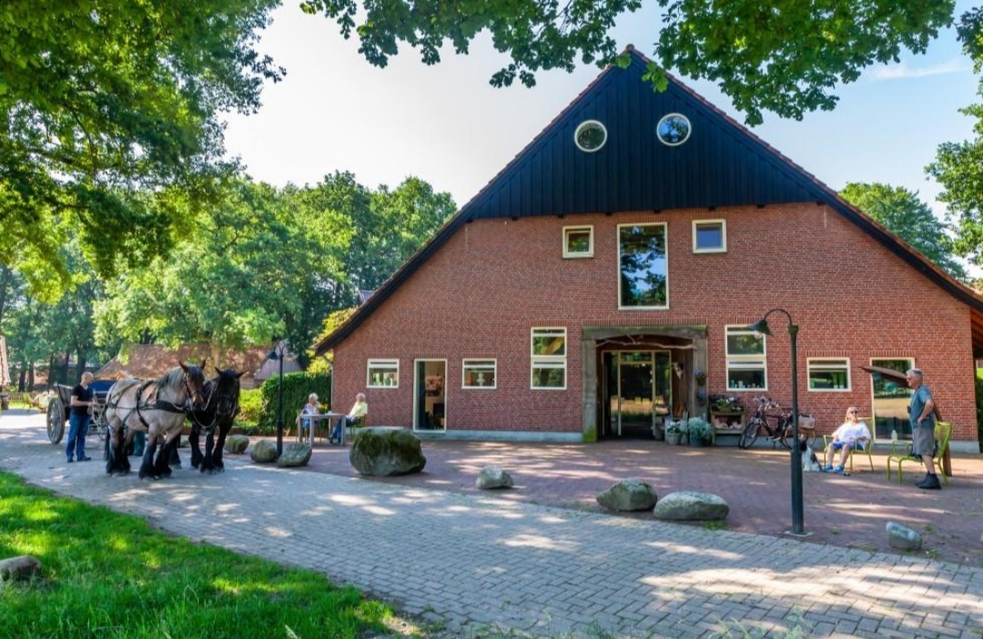 Hoeve Springendal : box et paddocks, pension pour chevaux à Hezingen - Photo 2 sur 3