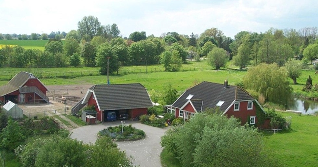 Reiterhof Reinecke / Bauernhof Reinecke : box et paddocks, pension pour chevaux à Rubitz (Kenz-Küstrow) - Photo 3 sur 3