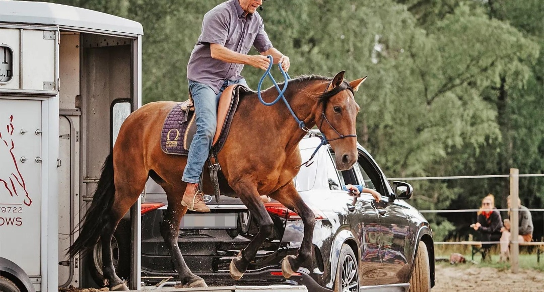 Weinzierl Horsemanship : box et paddocks, pension pour chevaux à Neu Drefahl - Photo 1 sur 3