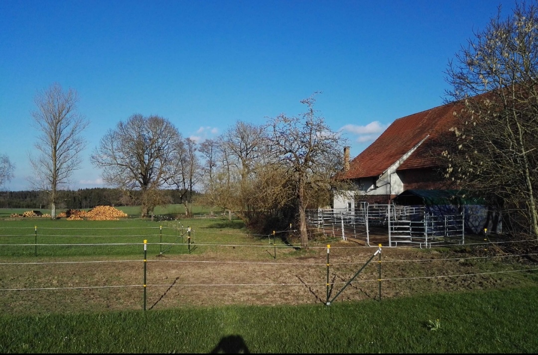 Highacres Ranch – Wanderreitstation : box et paddocks, pension pour chevaux à Rot an der Rot - Photo 2 sur 2