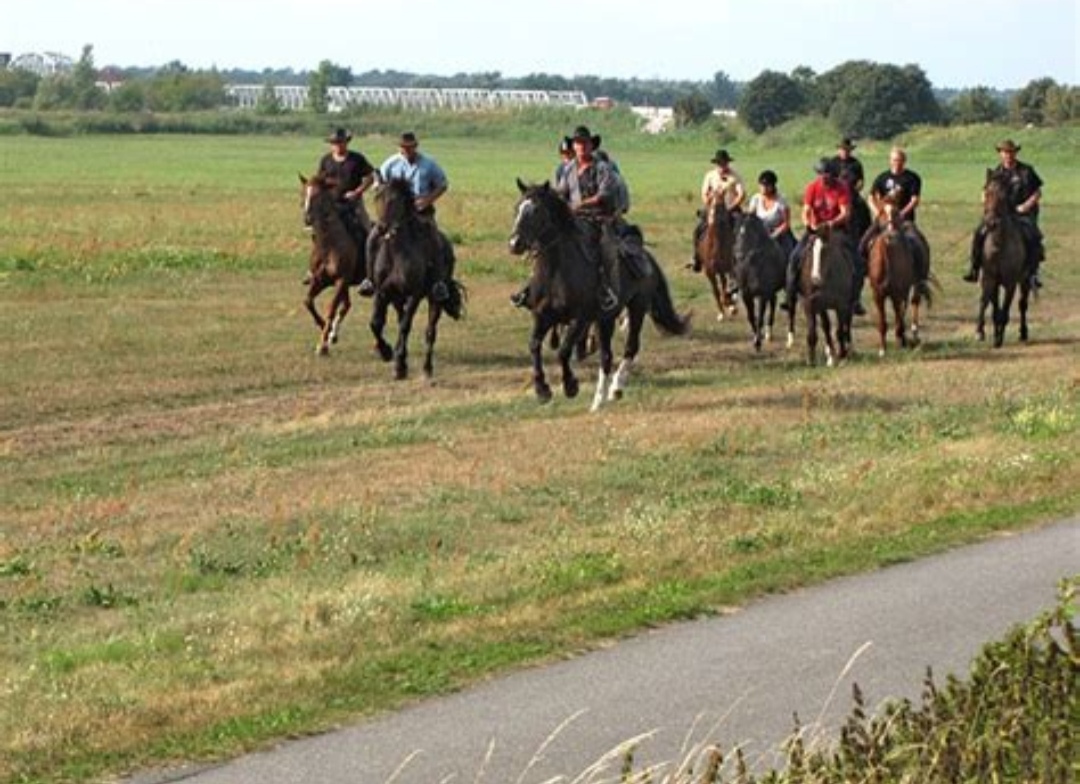 Reiterhof Andreas Völkner : box et paddocks, pension pour chevaux à Ostseebad Ahrenshoop – OT Althagen - Photo 3 sur 4